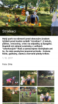 Strasiaci